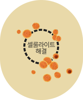 포인트아이콘